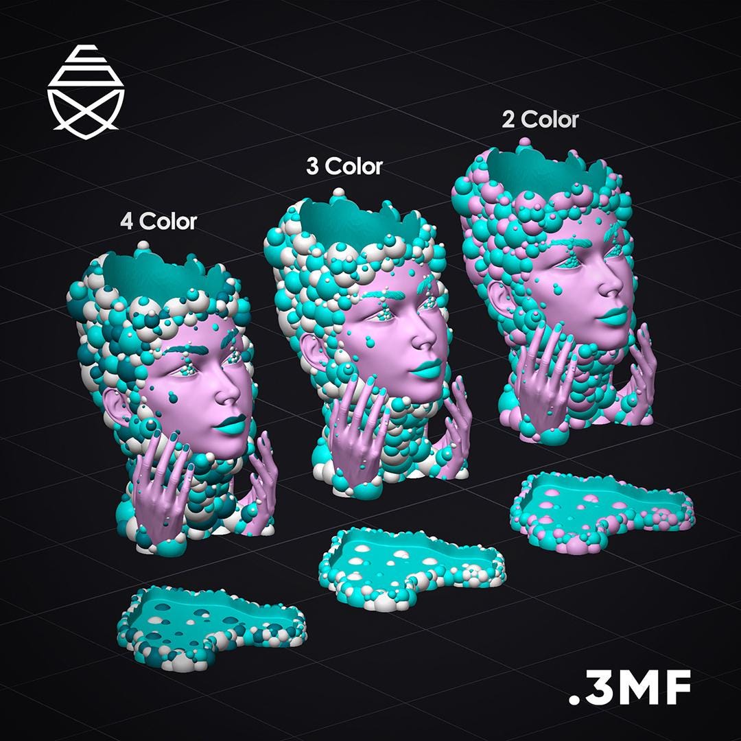 Referans görsel — Kabarcık Saçlı Yüz Saksısı. Wefty Design'in kendi baskısının fotoğrafı değildir.